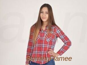BurningFlamee