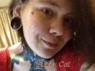 Buzzy_Cat