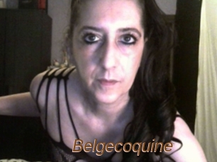Belgecoquine