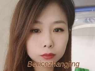 Bericezhangjing