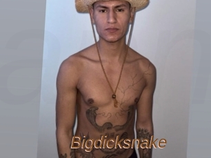 Bigdicksnake
