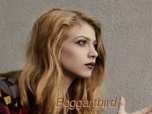 Boggartbird