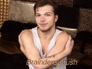 Braindensebush