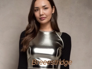Breeestridge