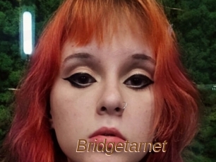 Bridgetarnet