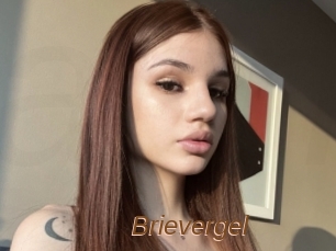 Brievergel