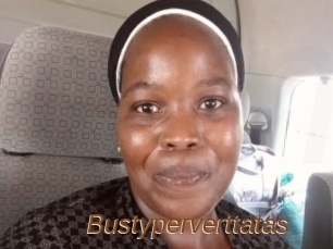 Bustyperverttatas