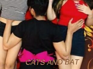 CATS_AND_BAT