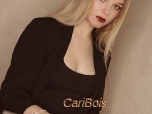 CariBois