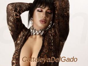 CattaleyaDelGado