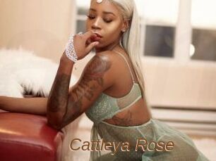 Cattleya_Rose