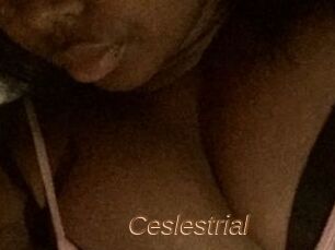 Ceslestrial
