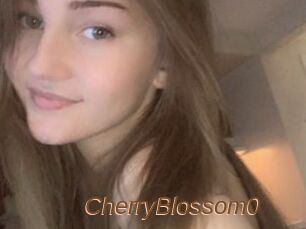 CherryBlossom0