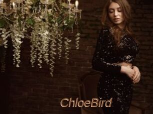 ChloeBird