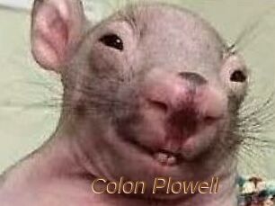 Colon_Plowell