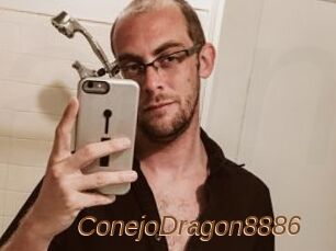 ConejoDragon8886