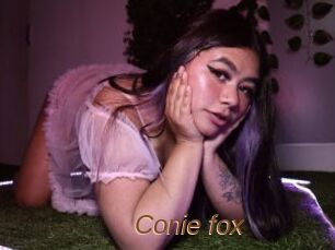 Conie_fox