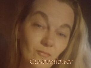 Curiousflower