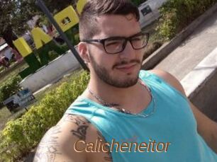 Calicheneitor