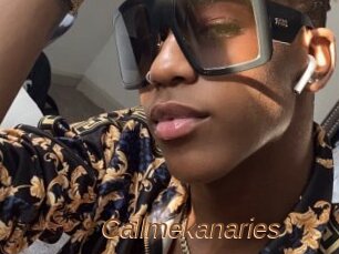 Callmekanaries