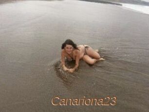 Canariona23
