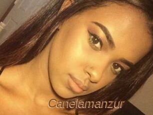 Canelamanzur