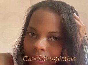 Canelatemptation