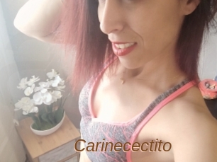 Carinecectito
