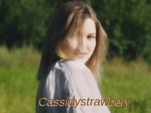 Cassidystrawbery