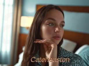 Cateheaston