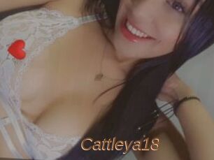 Cattleya18