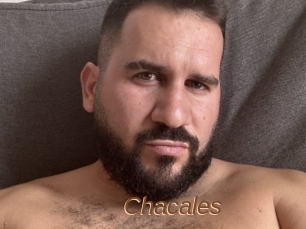 Chacales