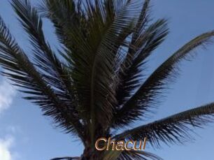 Chacul