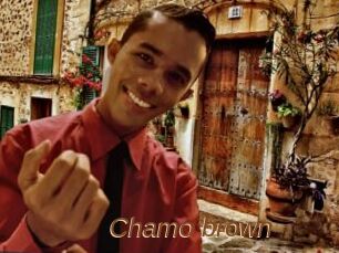 Chamo_brown