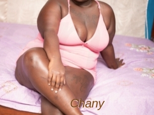 Chany