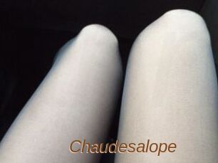 Chaudesalope