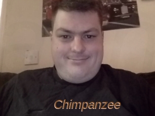 Chimpanzee