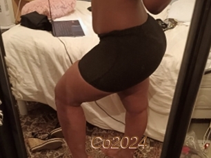 Co2024