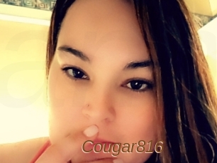 Cougar816