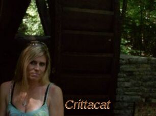 Crittacat