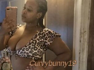 Curvybunny19