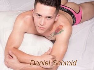 Daniel_Schmid