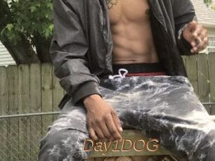 Day1DOG