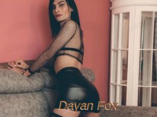 Dayan_Fox