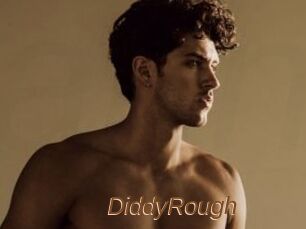 DiddyRough