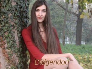 Didgeridoo