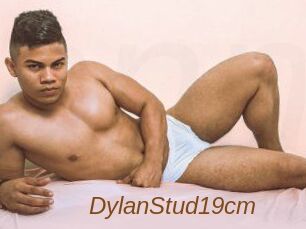 DylanStud19cm