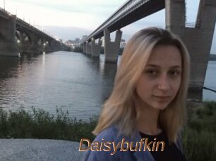 Daisybufkin
