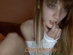 Daisydestiny