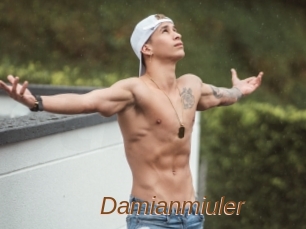 Damianmiuler
